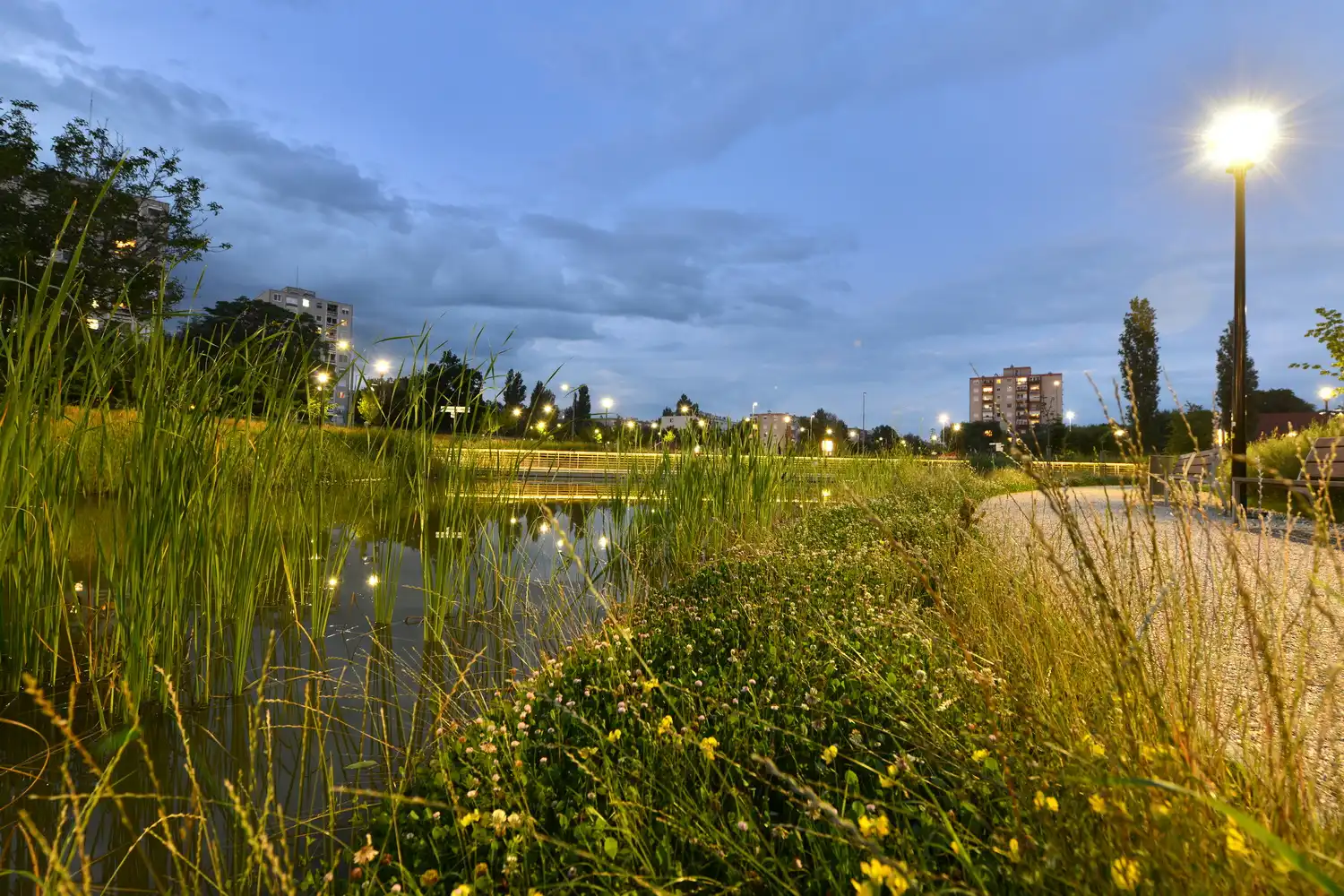 Nature Based Solutions